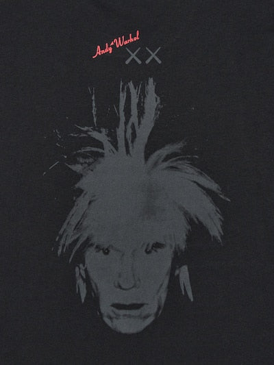 Uniqlo KAWS Warhol UT Graphic T-Shirt