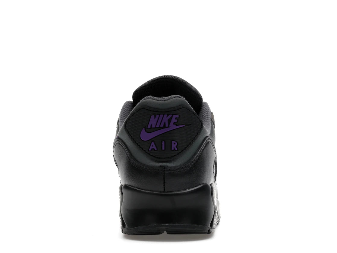 Nike Air Max 90 Iron Grey Wild Grape