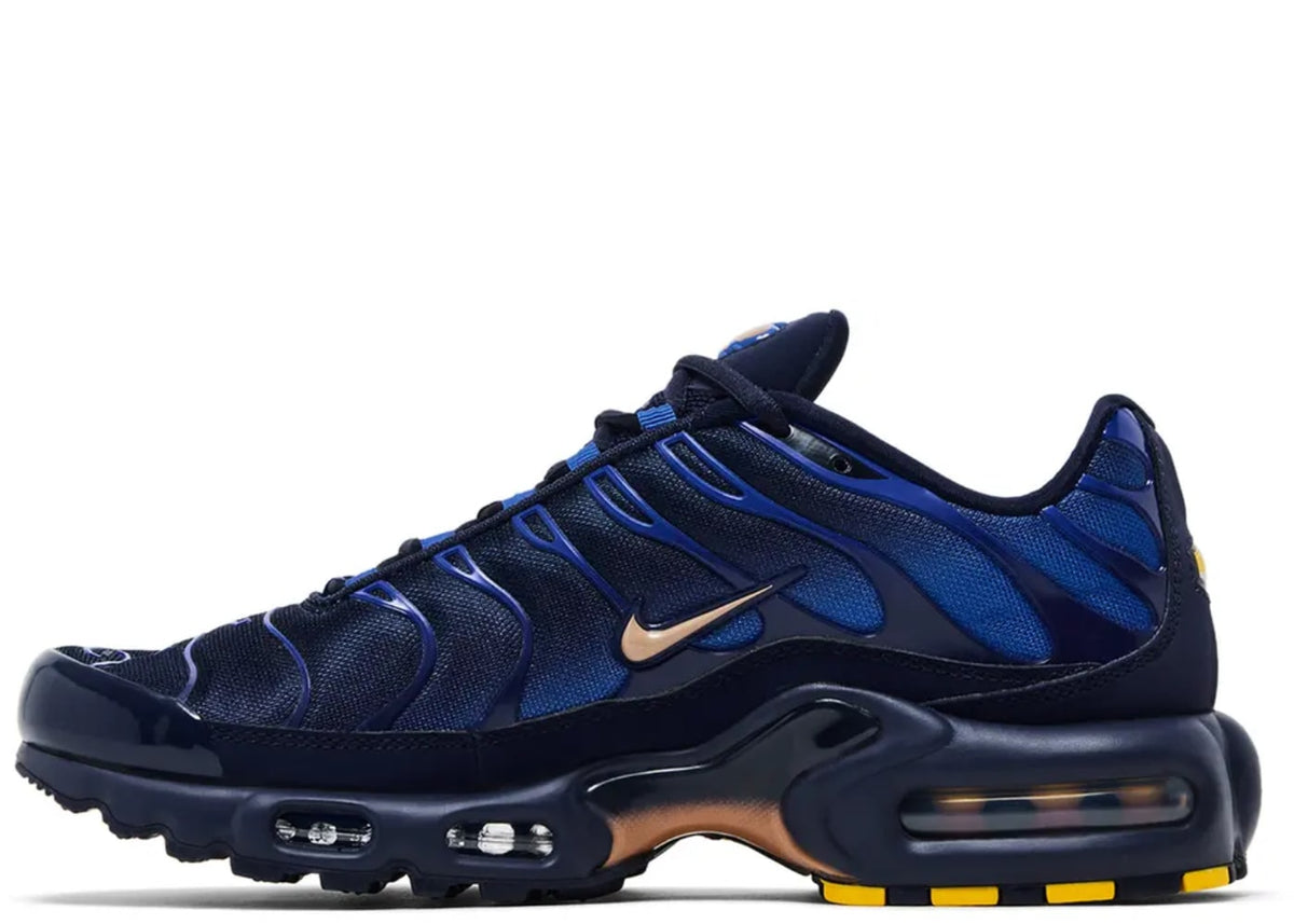 Nike Air Max Plus French Football Federation