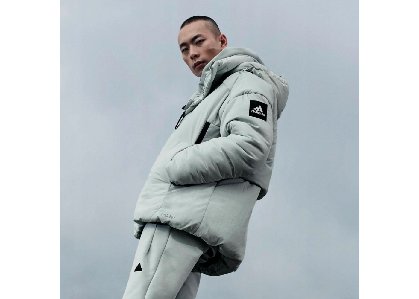 adidas MyShelter Cold.Rrdy Puffer Down Jacket Grey