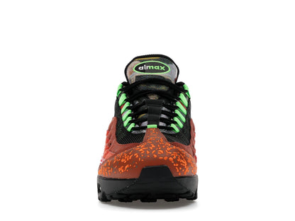 Nike Air Max 95 Big Bubble Family Reunion Hong Kong