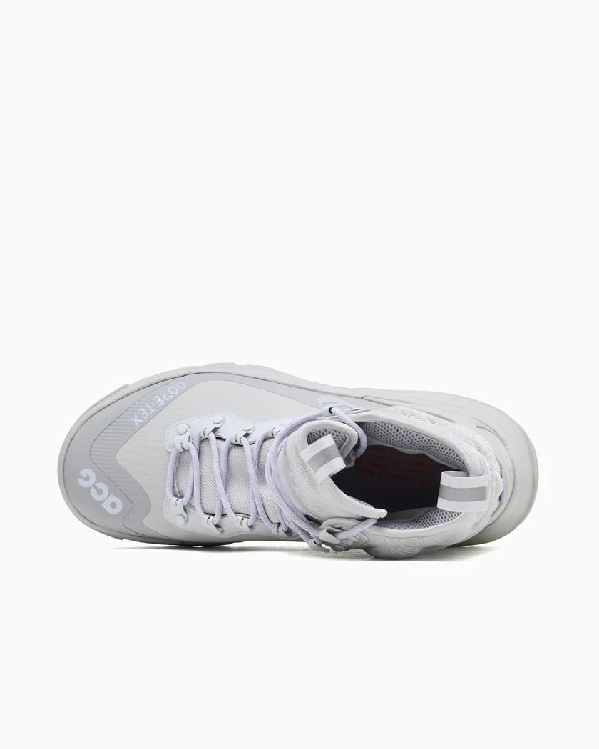 Nike ACG Air Zoom Gaiadome Gore-Tex Grey Fog Pure Platinum Boots