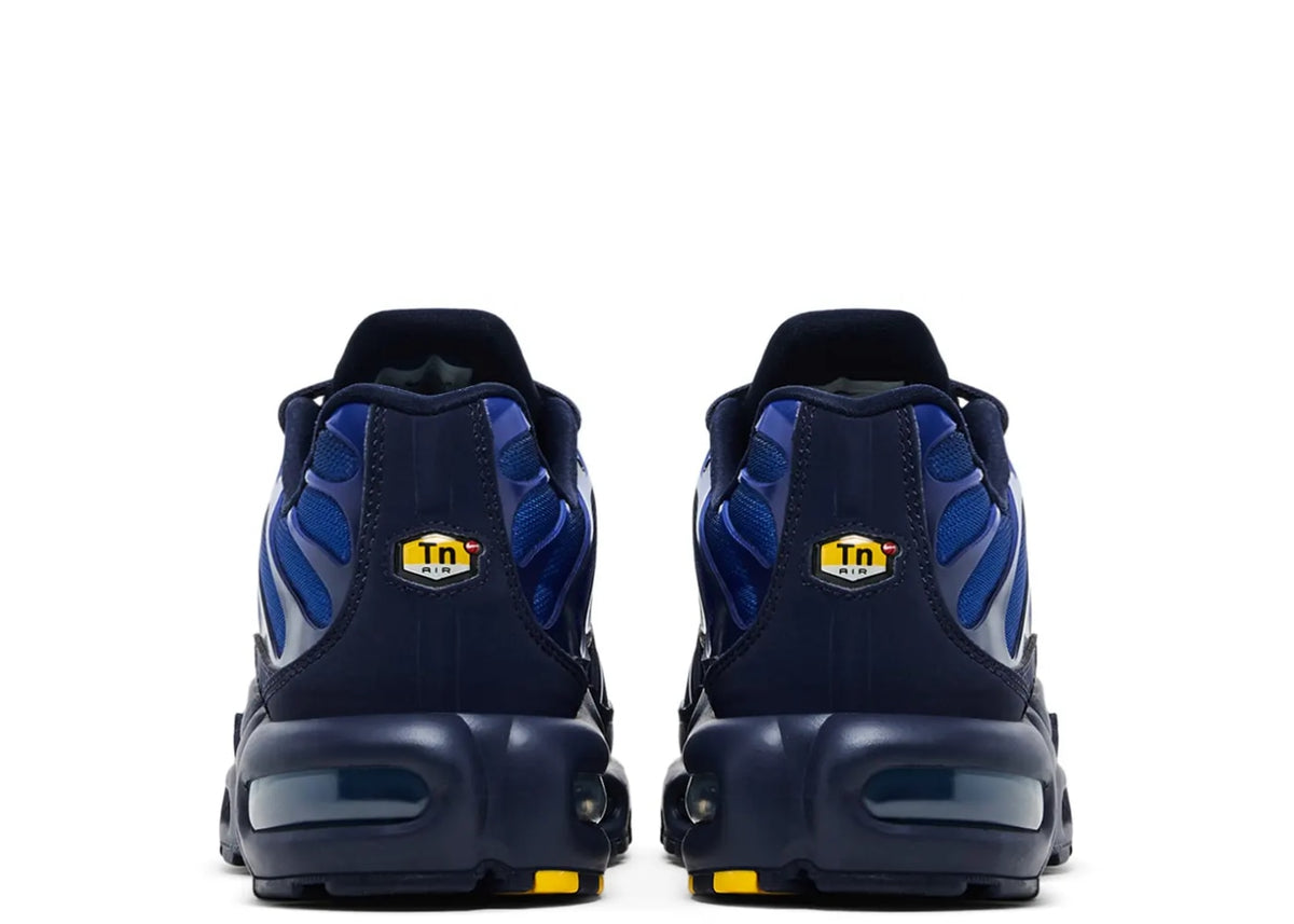 Nike Air Max Plus French Football Federation