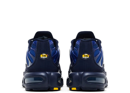 Nike Air Max Plus French Football Federation