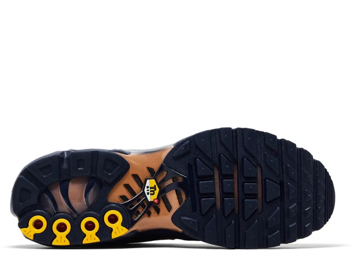 Nike Air Max Plus French Football Federation