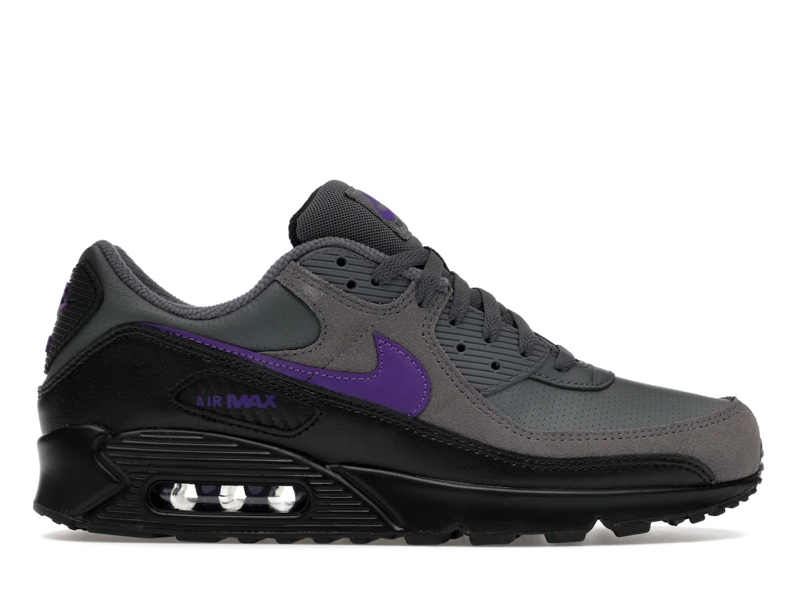Nike Air Max 90 Iron Grey Wild Grape