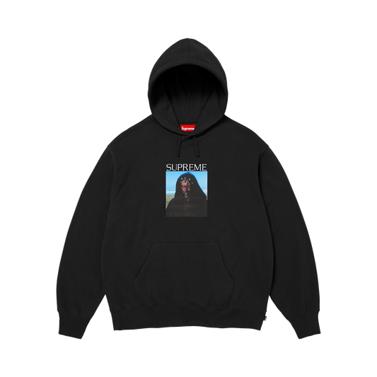 Supreme Sith Hooded Sweatshirt 'Black'