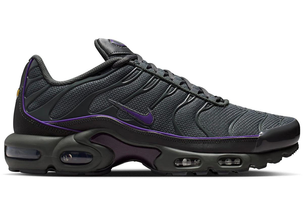 Nike Air Max Plus OG Iron Grey Wild Grape