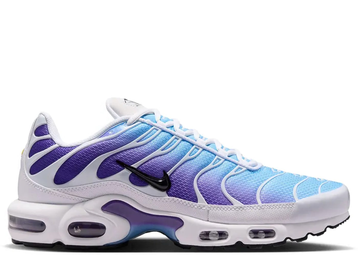Nike Air Max Plus White Gradient Blue
