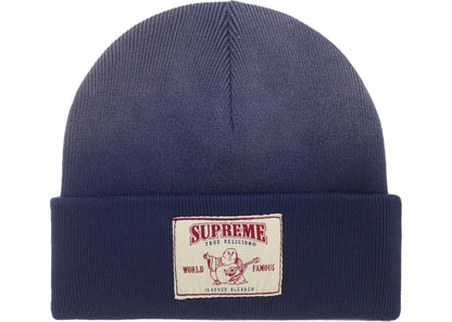 Supreme True Religion Beanie (FW25) Navy