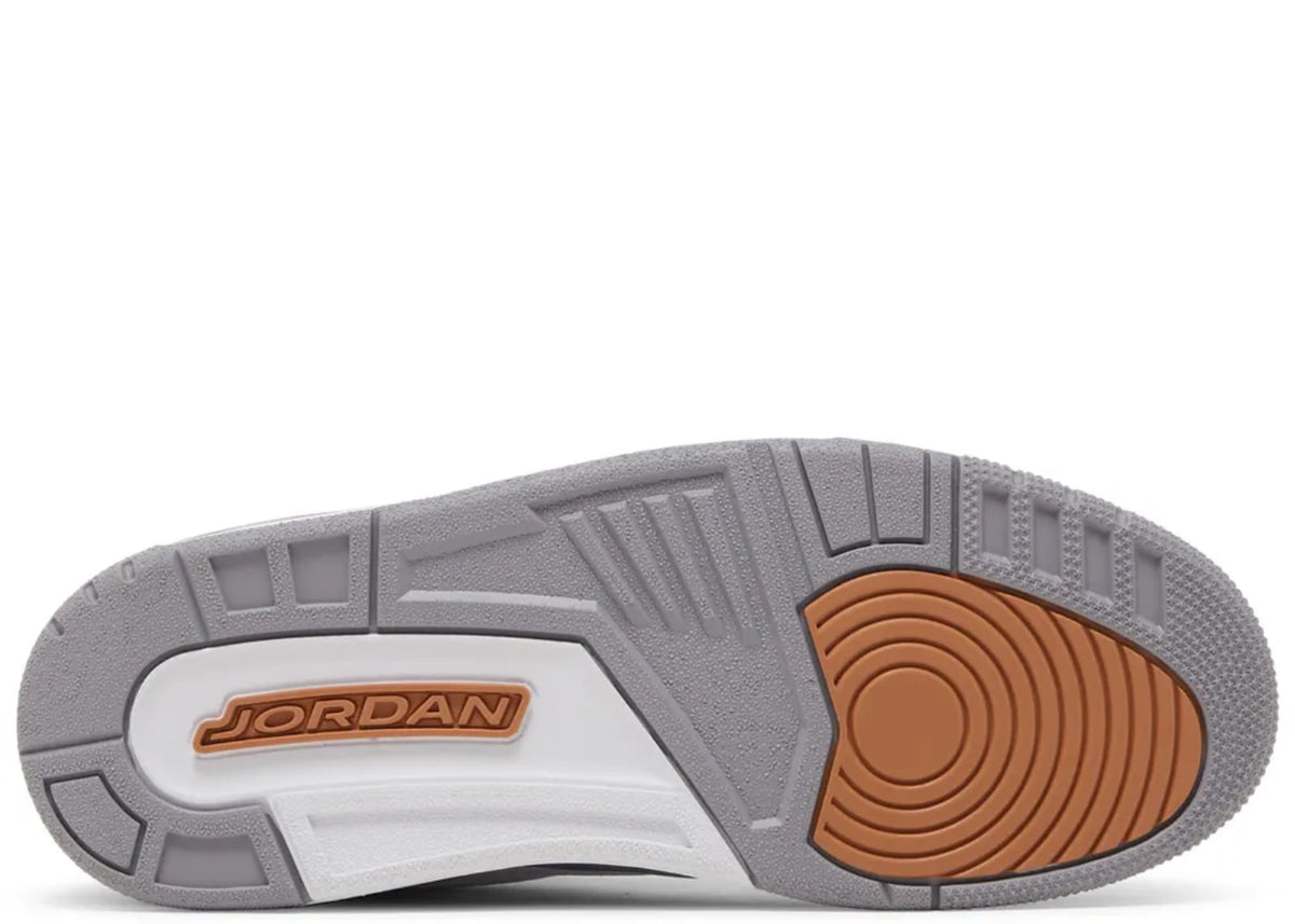 Air Jordan 3 Wizards