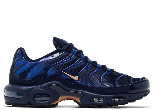 Nike Air Max Plus French Football Federation
