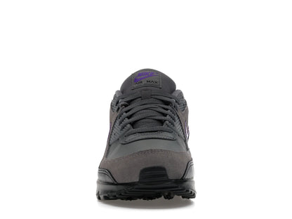 Nike Air Max 90 Iron Grey Wild Grape