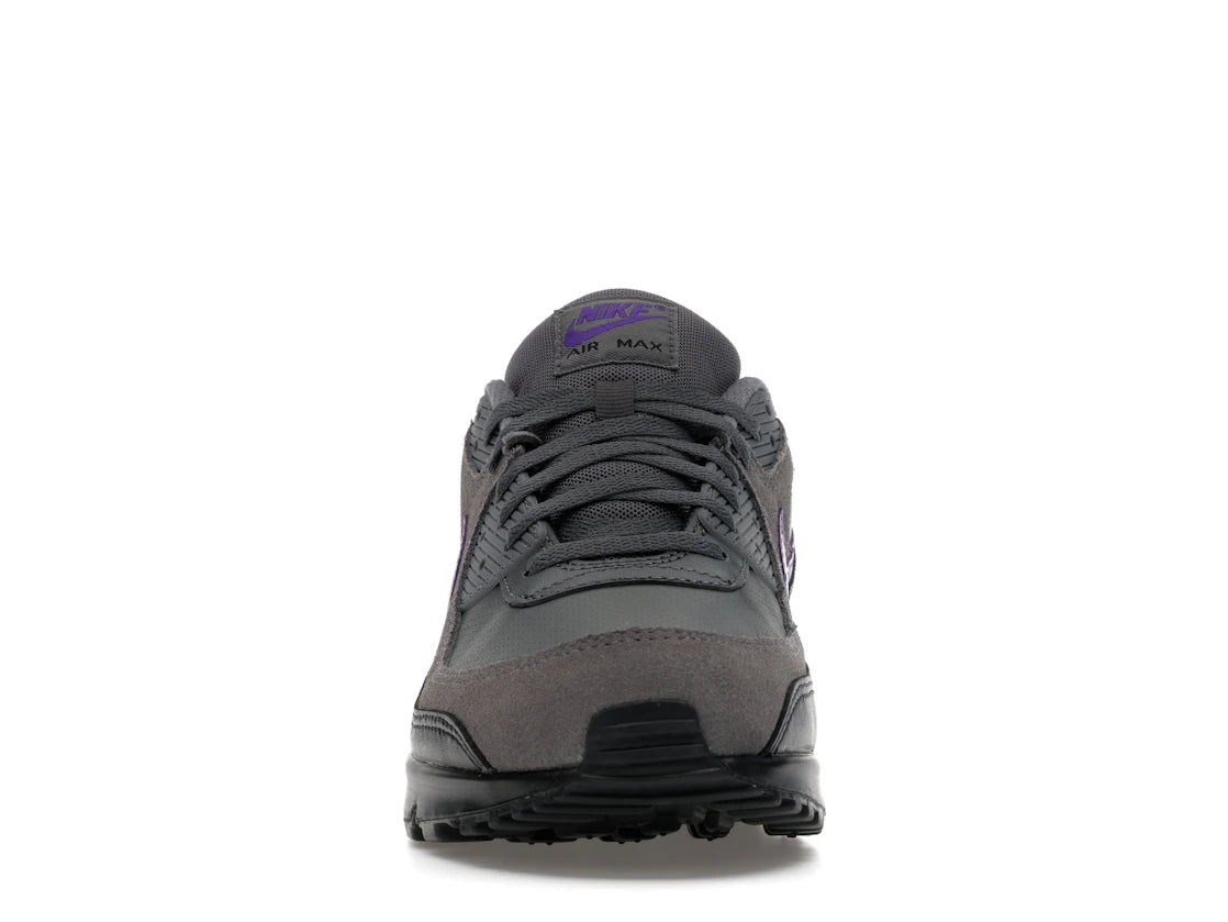 Nike Air Max 90 Iron Grey Wild Grape