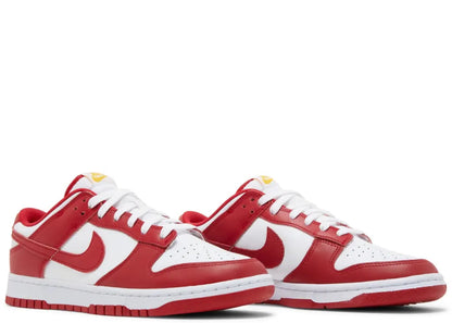 Nike Dunk Low USC