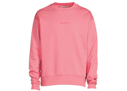 Marni logo organic cotton sweatshirt pink candy