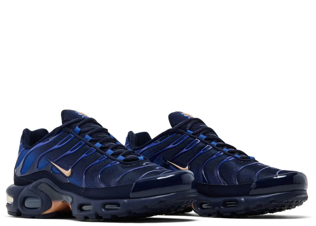 Nike Air Max Plus French Football Federation