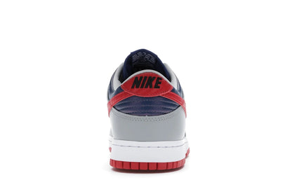 Nike Dunk Low CO.JP Samba (2020)