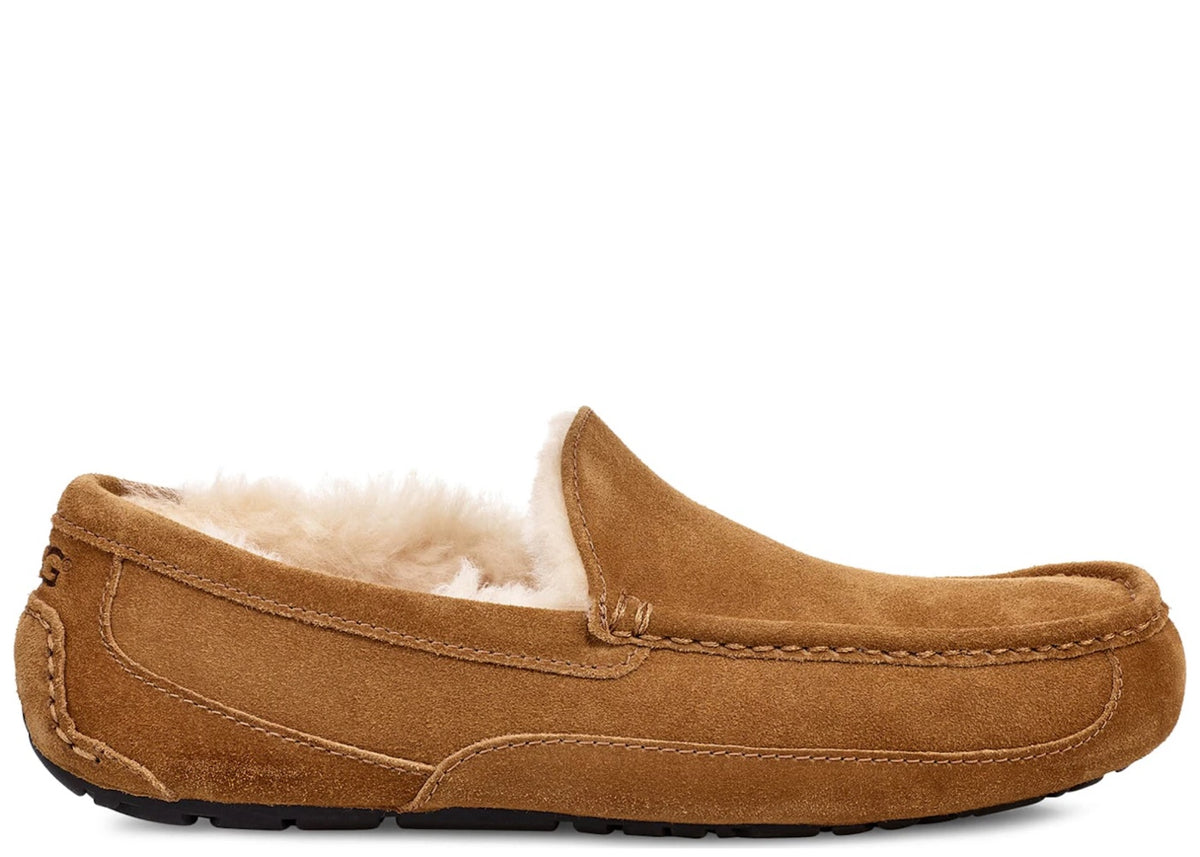 UGG Ascot Slipper Chestnut