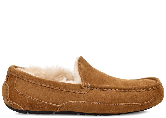UGG Ascot Slipper Chestnut