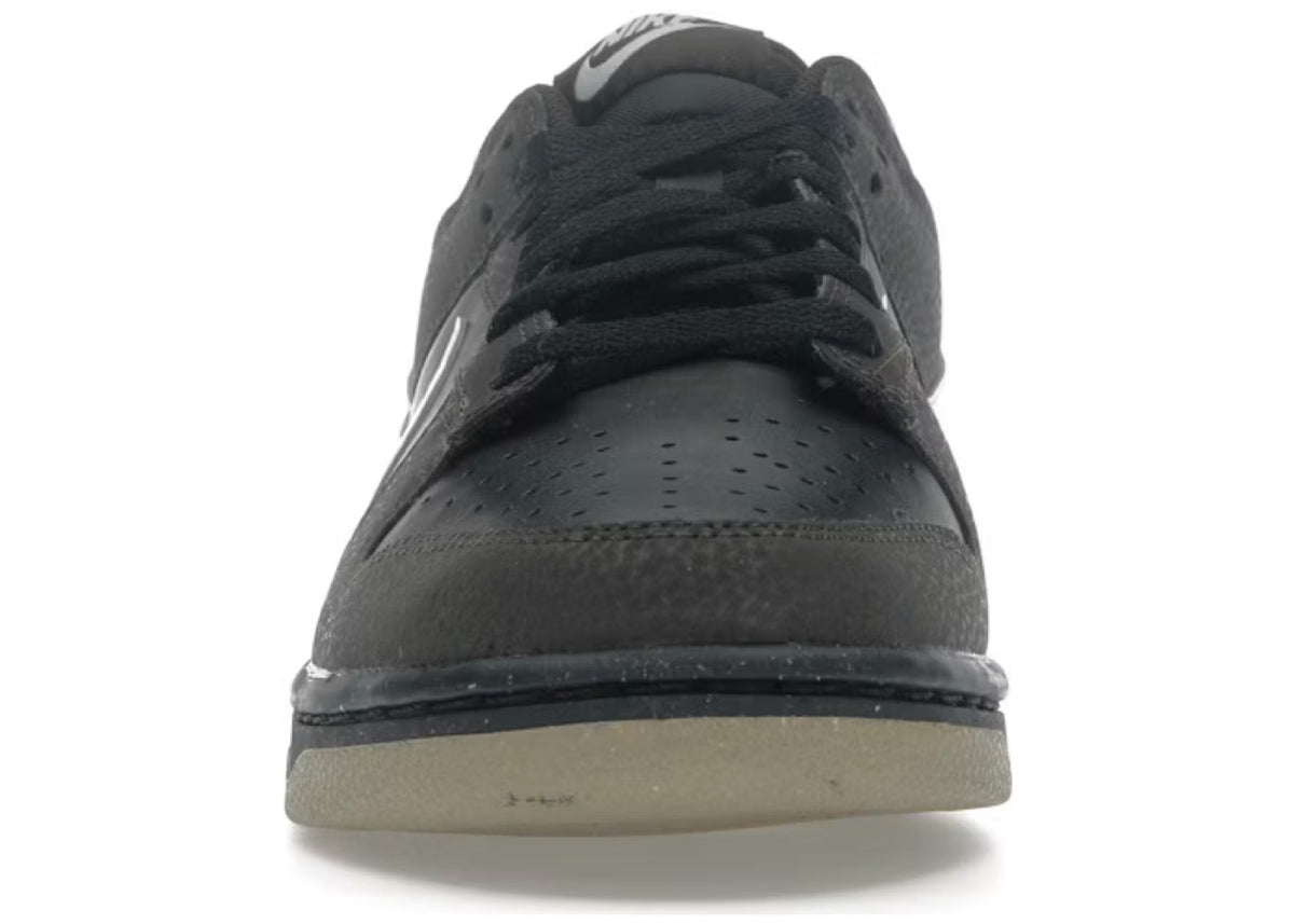Nike Dunk Low Next Nature Velvet Brown (Women's)